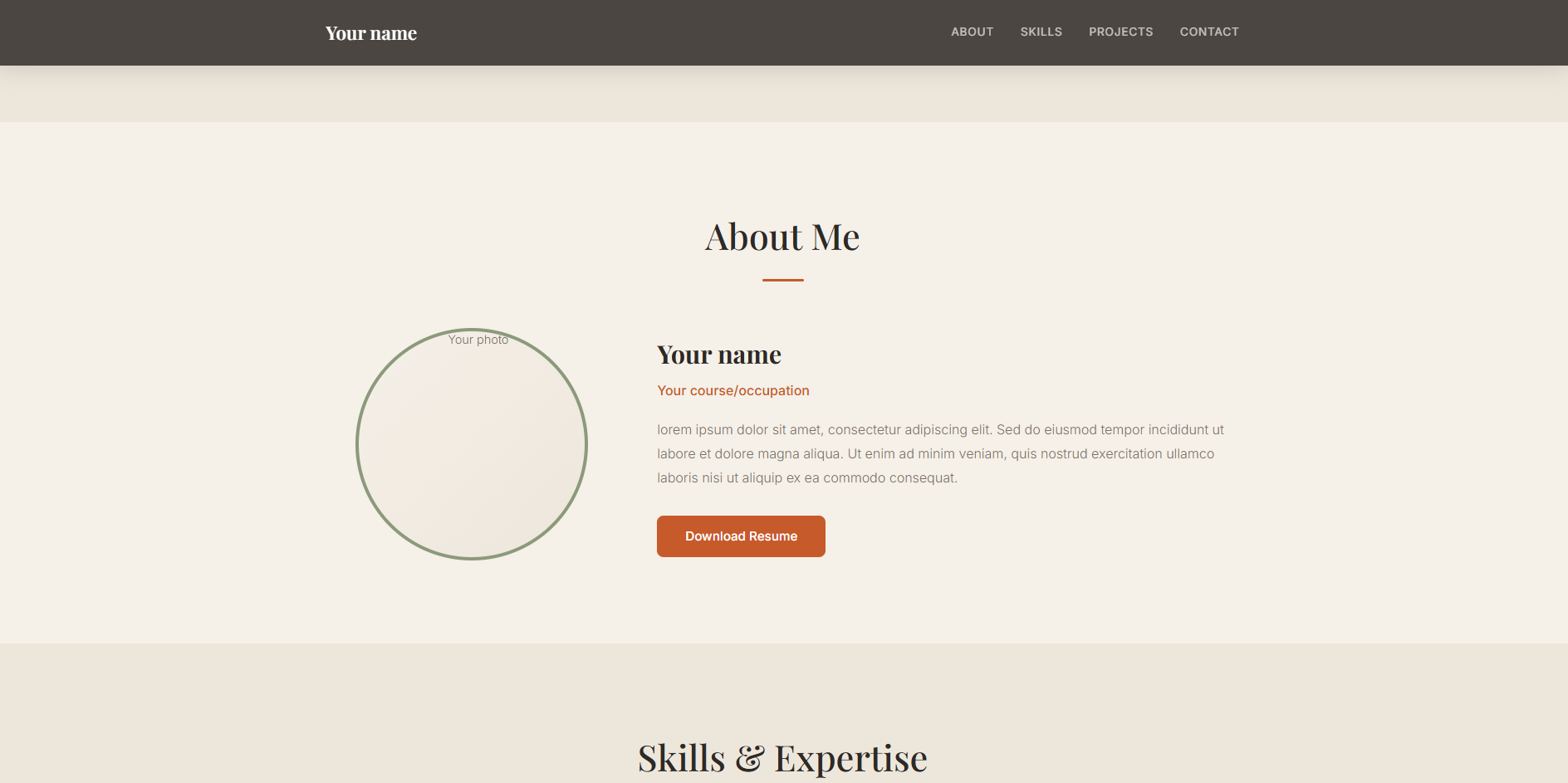 Modern Portfolio Template screenshot 2